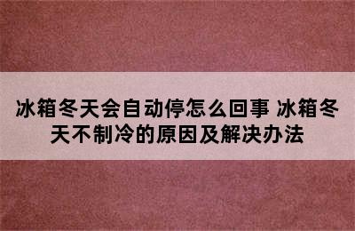 冰箱冬天会自动停怎么回事 冰箱冬天不制冷的原因及解决办法